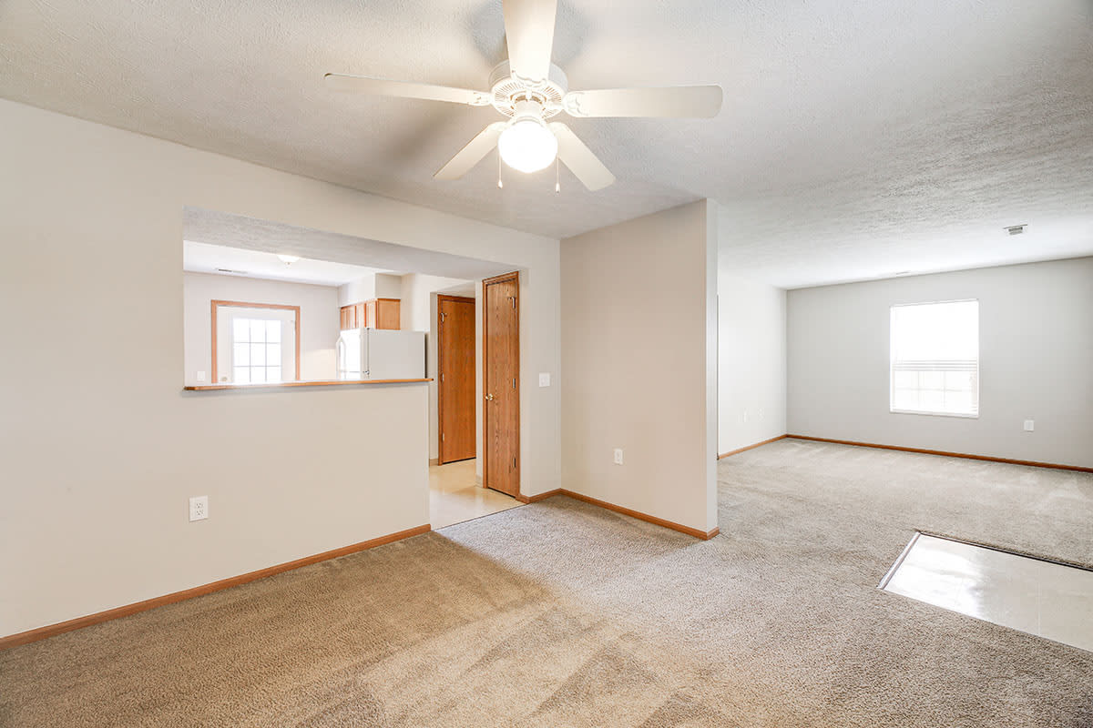 Photos and Video of Olde Hickory in Coshocton, OH